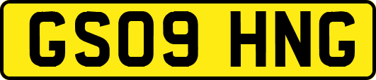 GS09HNG