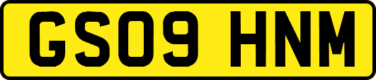 GS09HNM