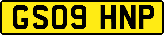 GS09HNP