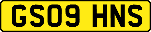 GS09HNS