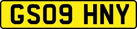GS09HNY