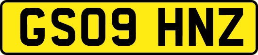 GS09HNZ