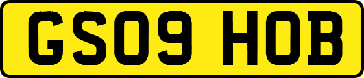 GS09HOB