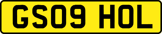 GS09HOL