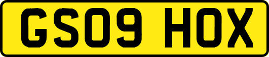 GS09HOX