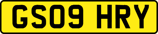 GS09HRY