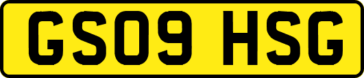 GS09HSG