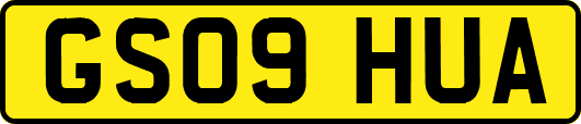 GS09HUA