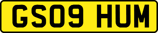 GS09HUM