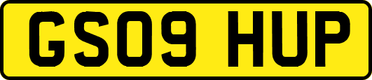 GS09HUP