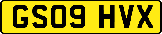 GS09HVX