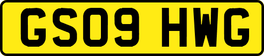 GS09HWG