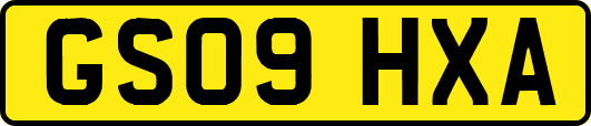 GS09HXA
