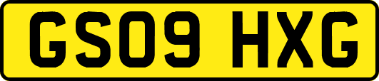 GS09HXG