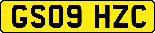 GS09HZC