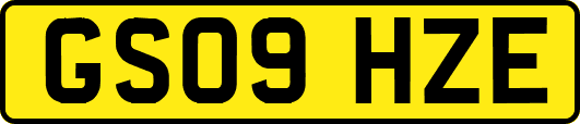 GS09HZE