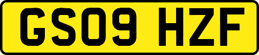 GS09HZF