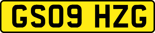 GS09HZG