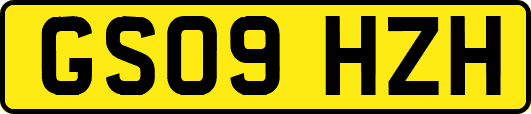 GS09HZH