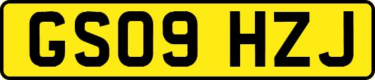 GS09HZJ