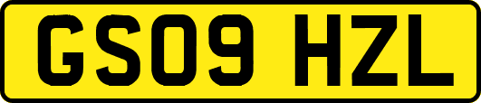 GS09HZL