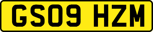 GS09HZM