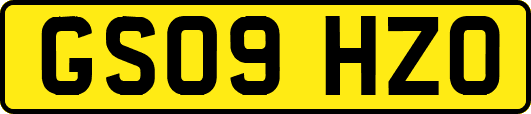 GS09HZO