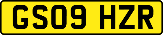 GS09HZR