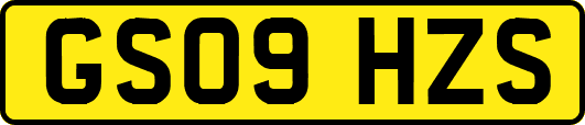 GS09HZS