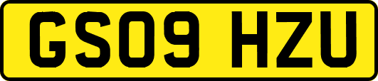 GS09HZU