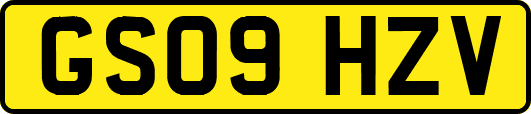 GS09HZV