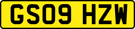 GS09HZW