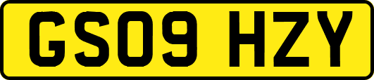 GS09HZY