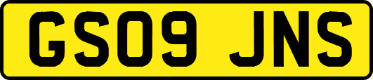 GS09JNS