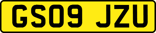 GS09JZU