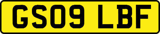 GS09LBF