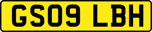 GS09LBH