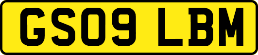 GS09LBM