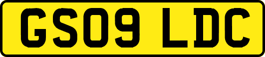 GS09LDC