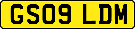 GS09LDM