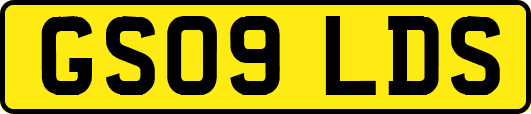 GS09LDS