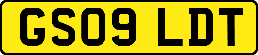 GS09LDT