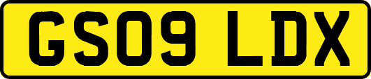 GS09LDX