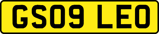 GS09LEO