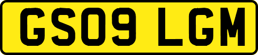 GS09LGM