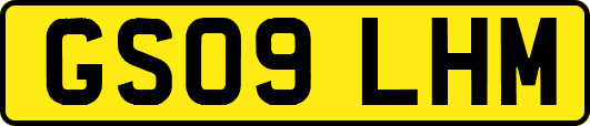 GS09LHM