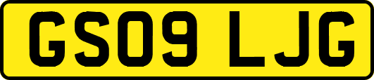 GS09LJG