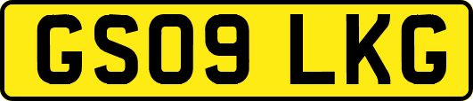GS09LKG