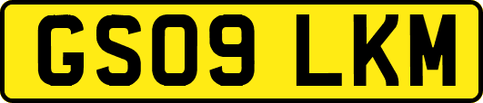 GS09LKM