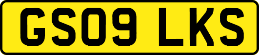 GS09LKS